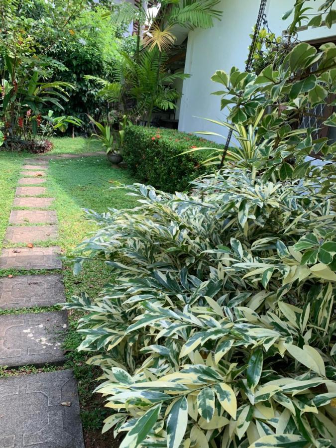 Tranquil Private Villa Near Bentota Beach 외부 사진