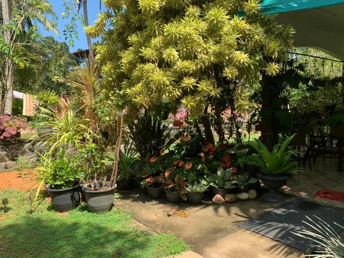 Tranquil Private Villa Near Bentota Beach 외부 사진