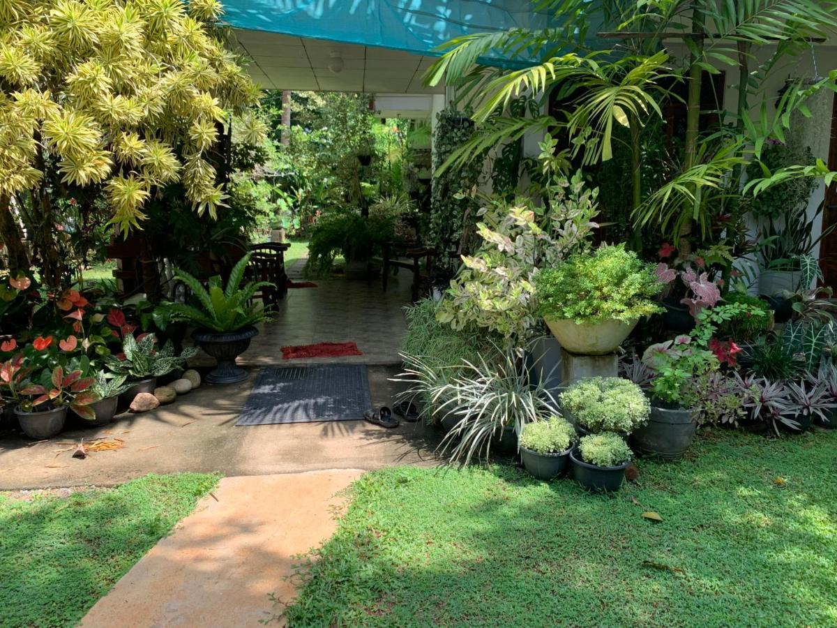 Tranquil Private Villa Near Bentota Beach 외부 사진