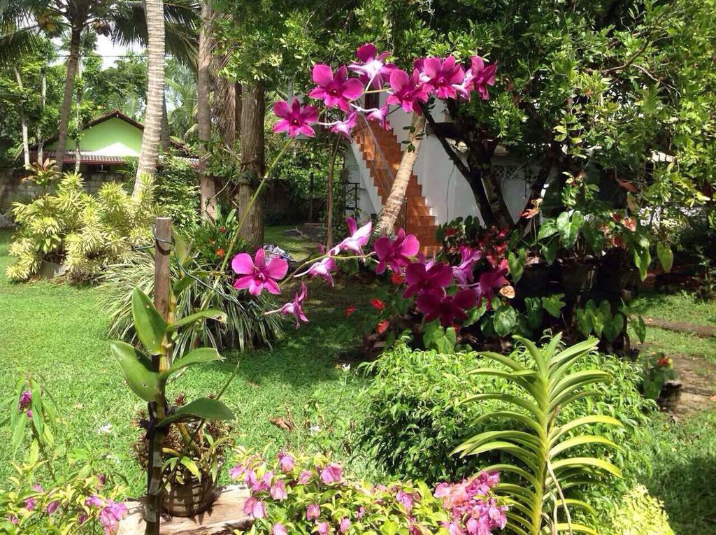 Tranquil Private Villa Near Bentota Beach 외부 사진